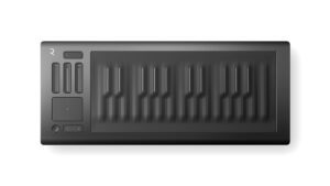 roli seaboard rise 25 243697